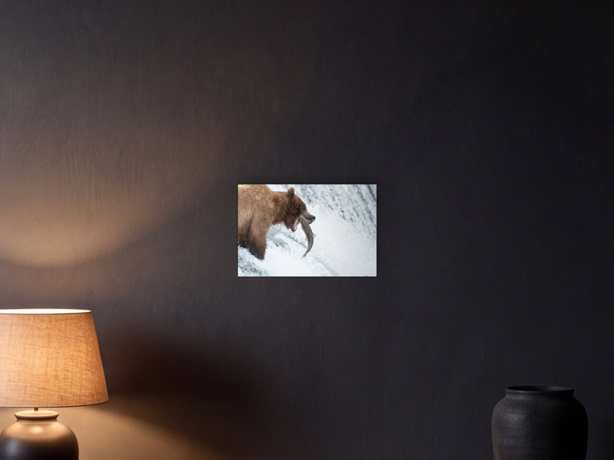 Bear grabs salmon, Brooks Falls shown in a graphite plaster wall at night, lit by a console lamp - scale render at 45 × 30 cm