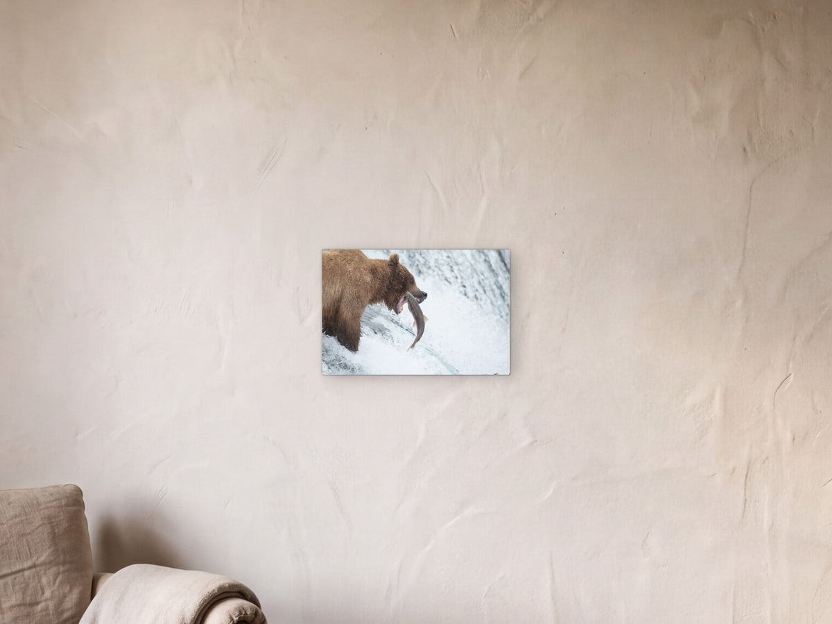 Bear grabs salmon, Brooks Falls shown in a limewash reading corner beside an armchair and a floor lamp - scale render at 45 × 30 cm