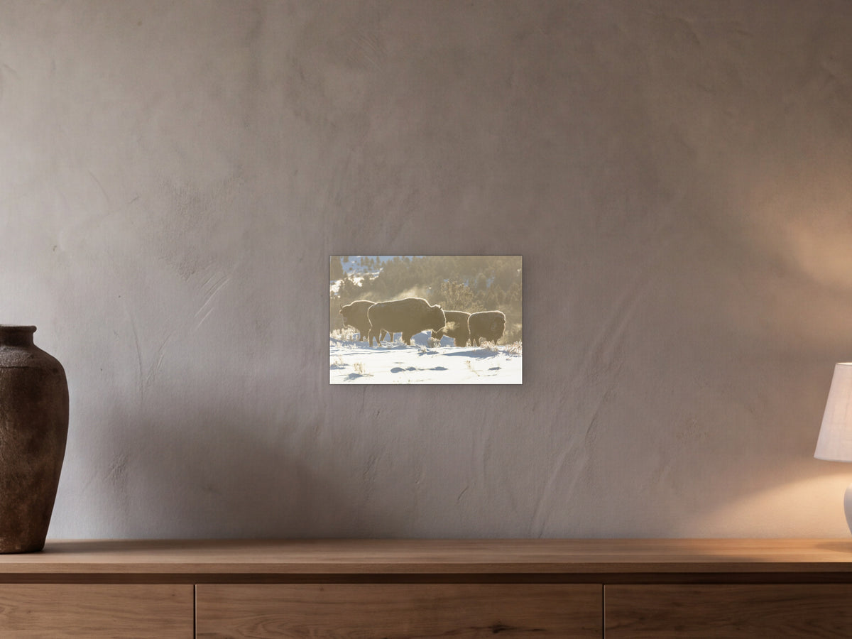 Bison herd, sunrise −20°F shown in a beamed room with a greige plaster wall above a long oak sideboard - scale render at 45 × 30 cm