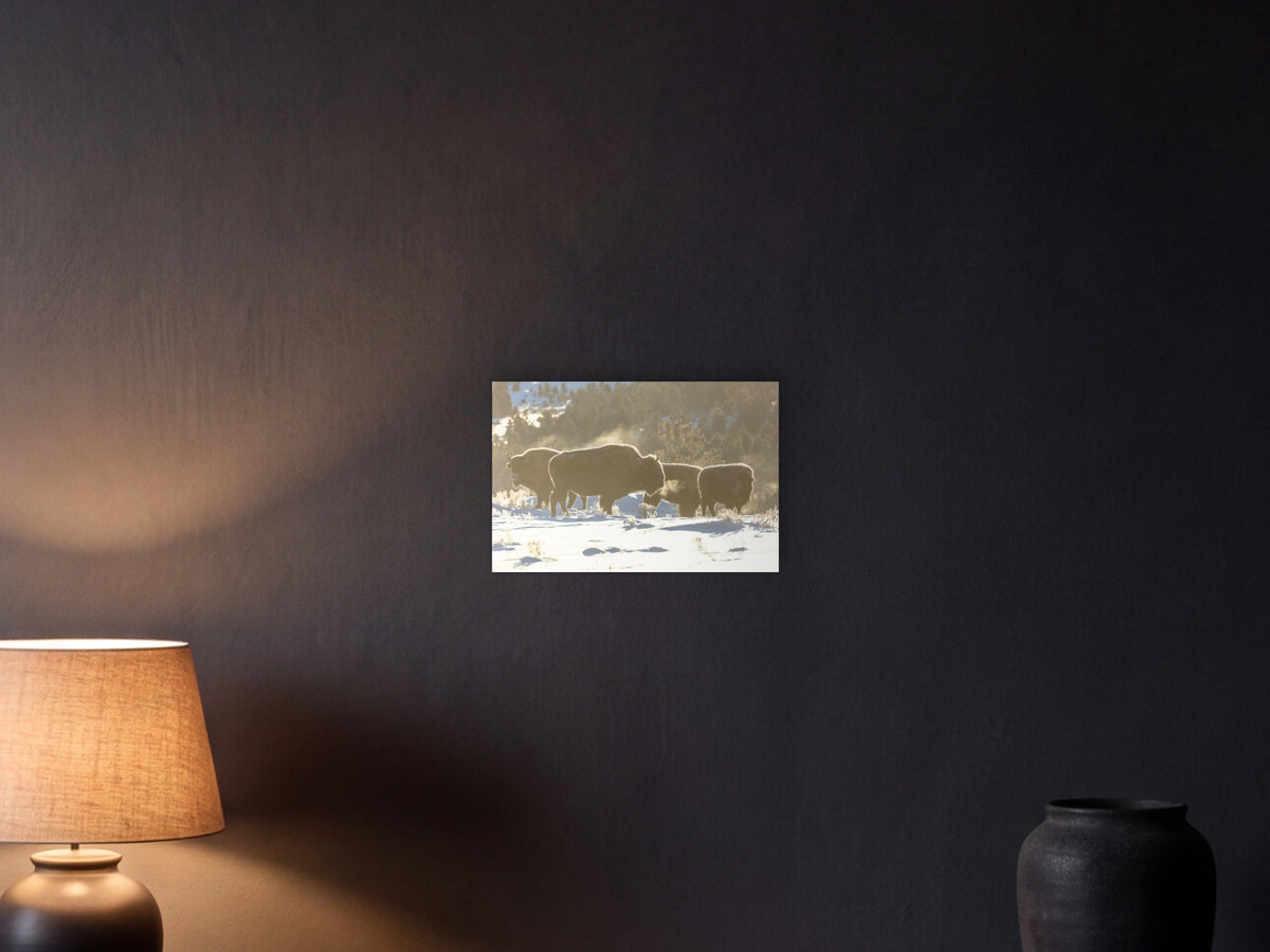 Bison herd, sunrise −20°F shown in a graphite plaster wall at night, lit by a console lamp - scale render at 45 × 30 cm