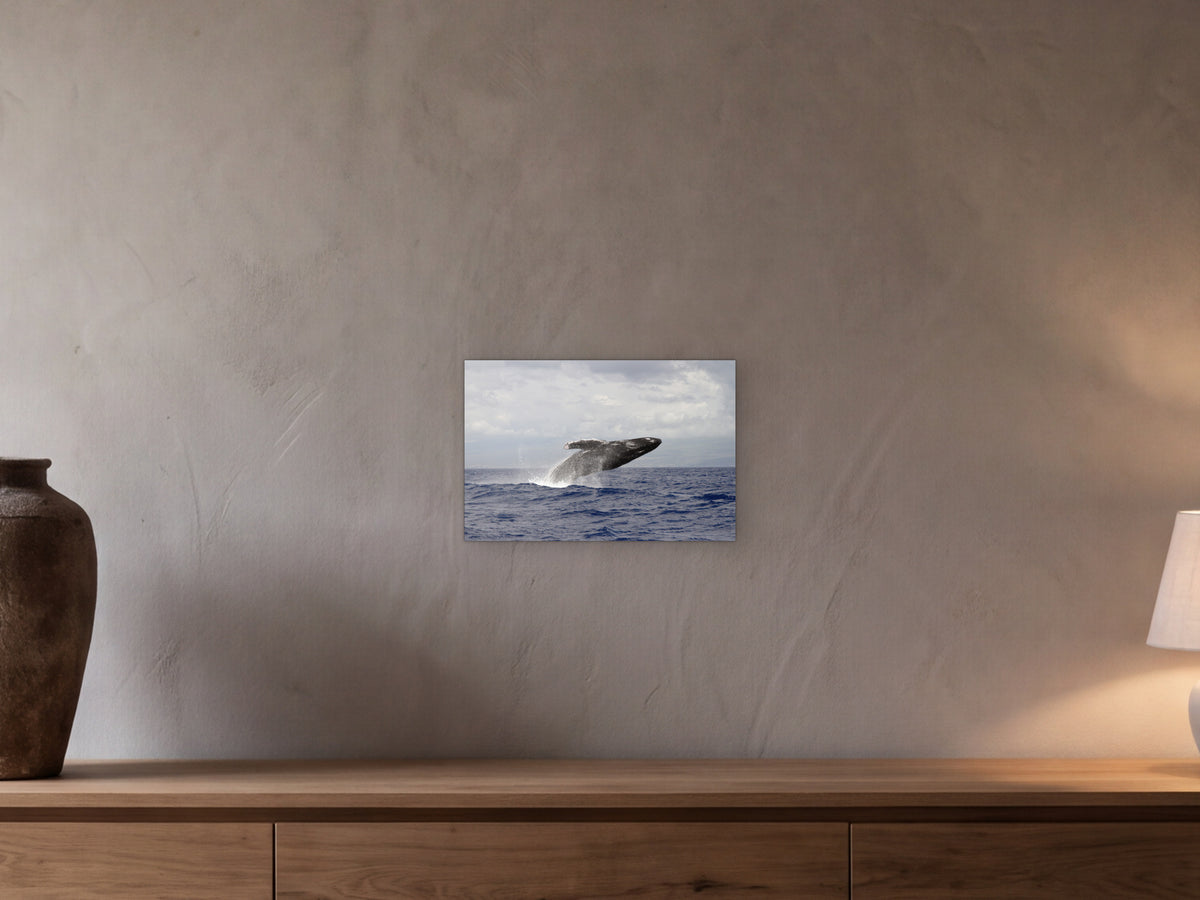 Breaching humpback whale shown in a beamed room with a greige plaster wall above a long oak sideboard - scale render at 45 × 30 cm