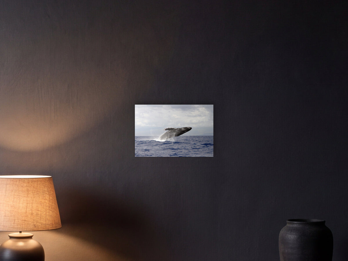 Breaching humpback whale shown in a graphite plaster wall at night, lit by a console lamp - scale render at 45 × 30 cm