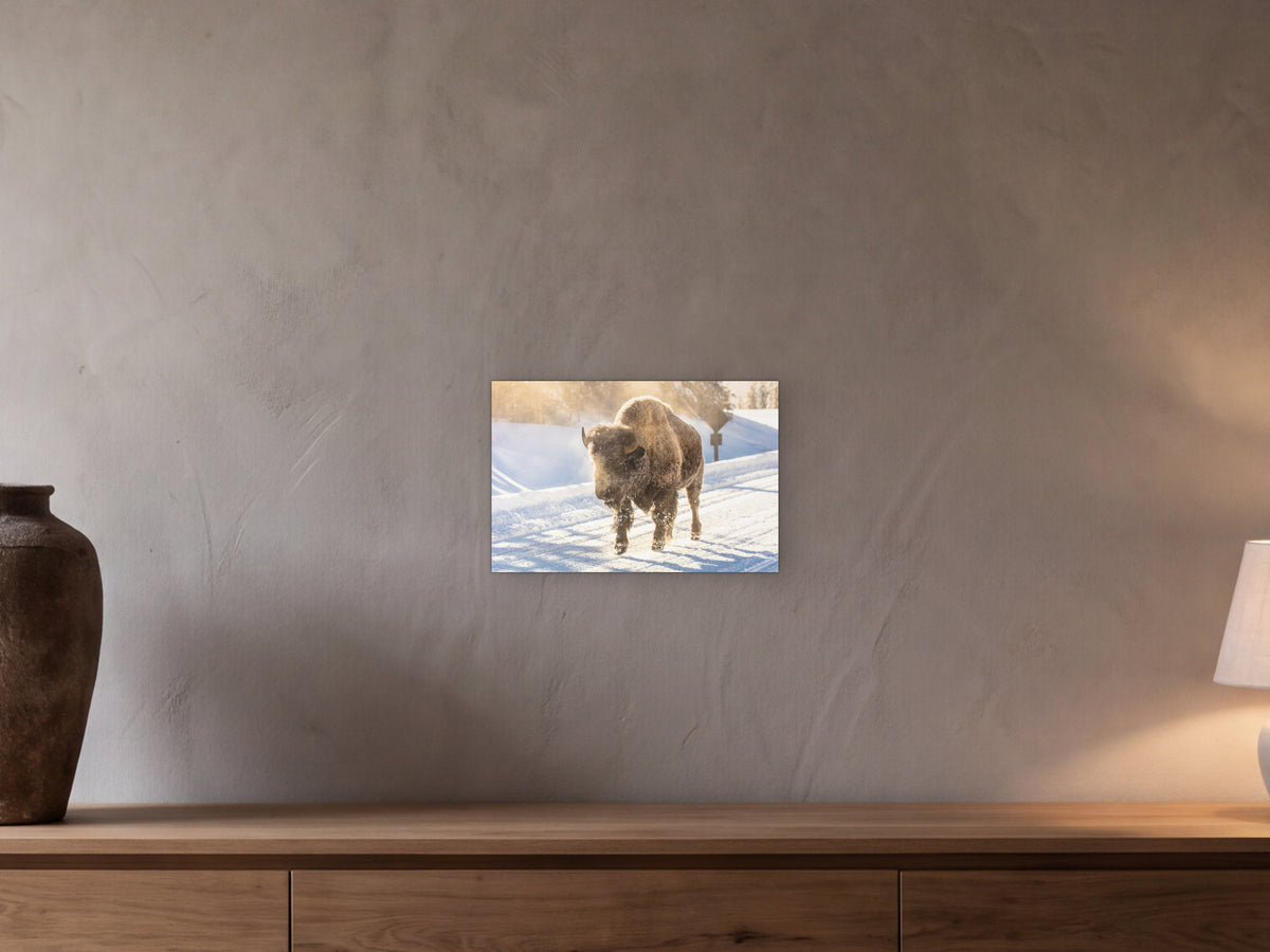 Frosty bison, Yellowstone shown in a beamed room with a greige plaster wall above a long oak sideboard - scale render at 45 × 30 cm