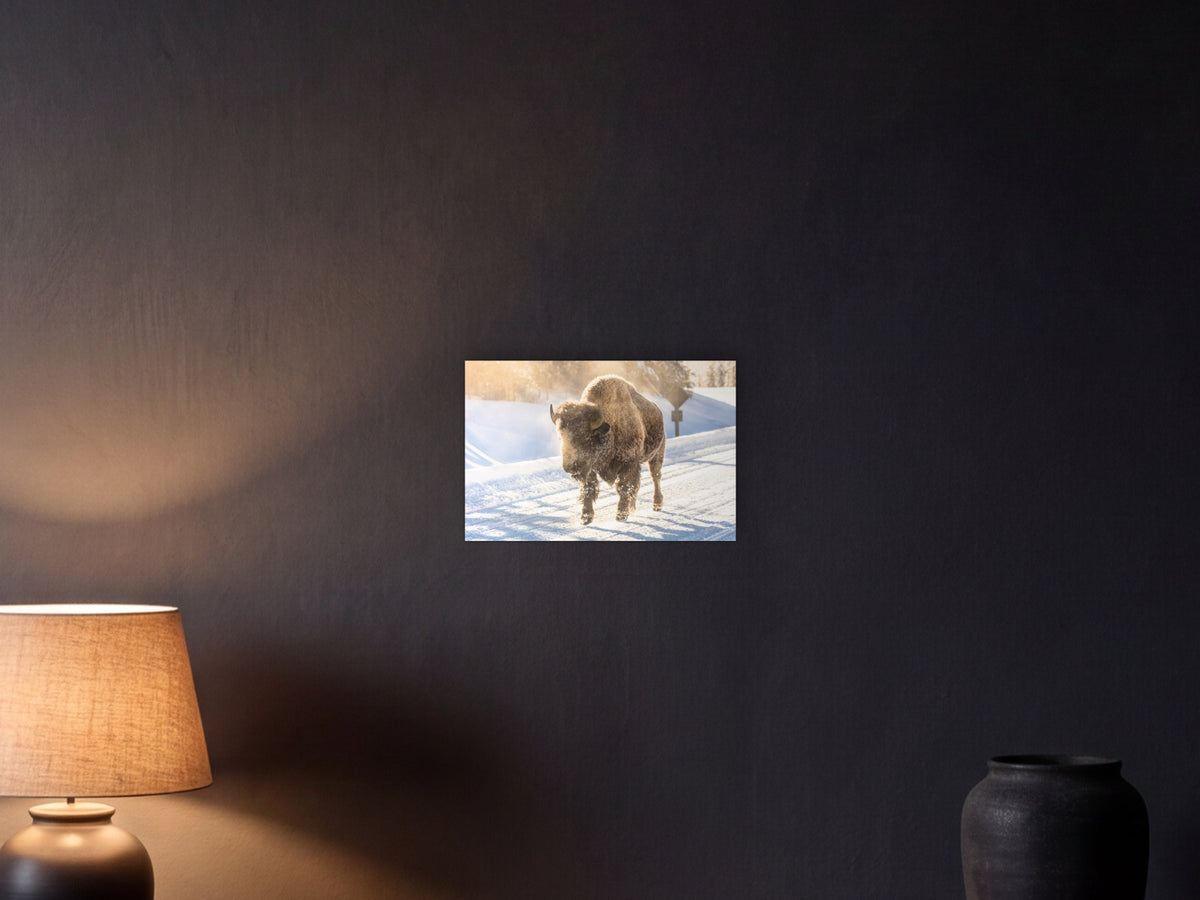 Frosty bison, Yellowstone shown in a graphite plaster wall at night, lit by a console lamp - scale render at 45 × 30 cm