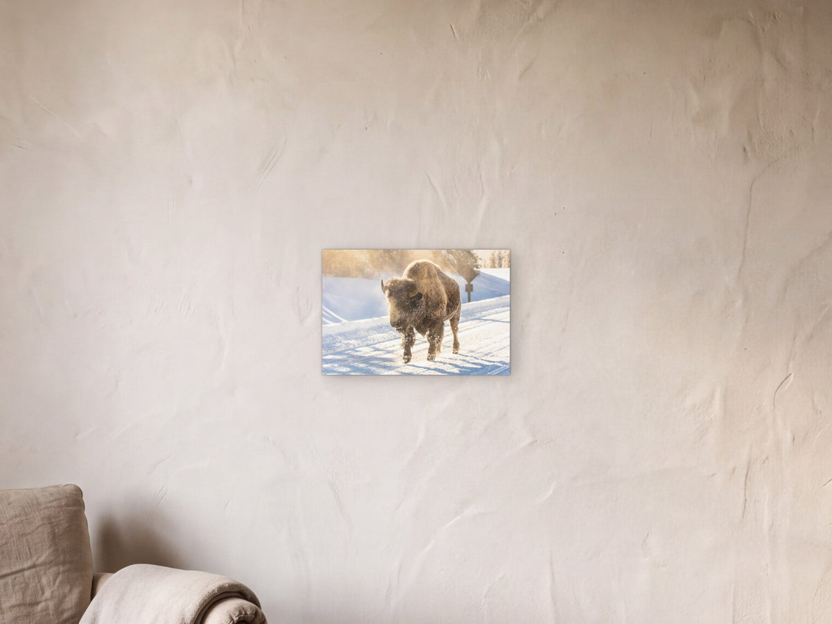 Frosty bison, Yellowstone shown in a limewash reading corner beside an armchair and a floor lamp - scale render at 45 × 30 cm