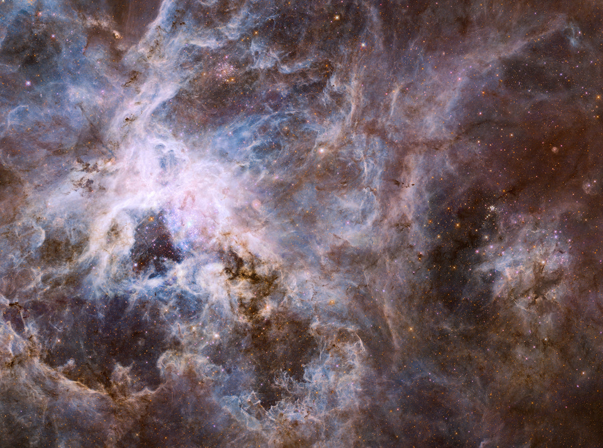 Tarantula Nebula