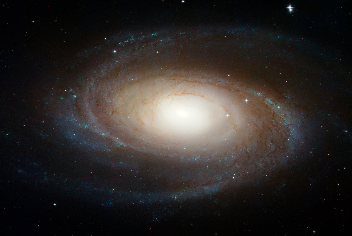spiral galaxy M81