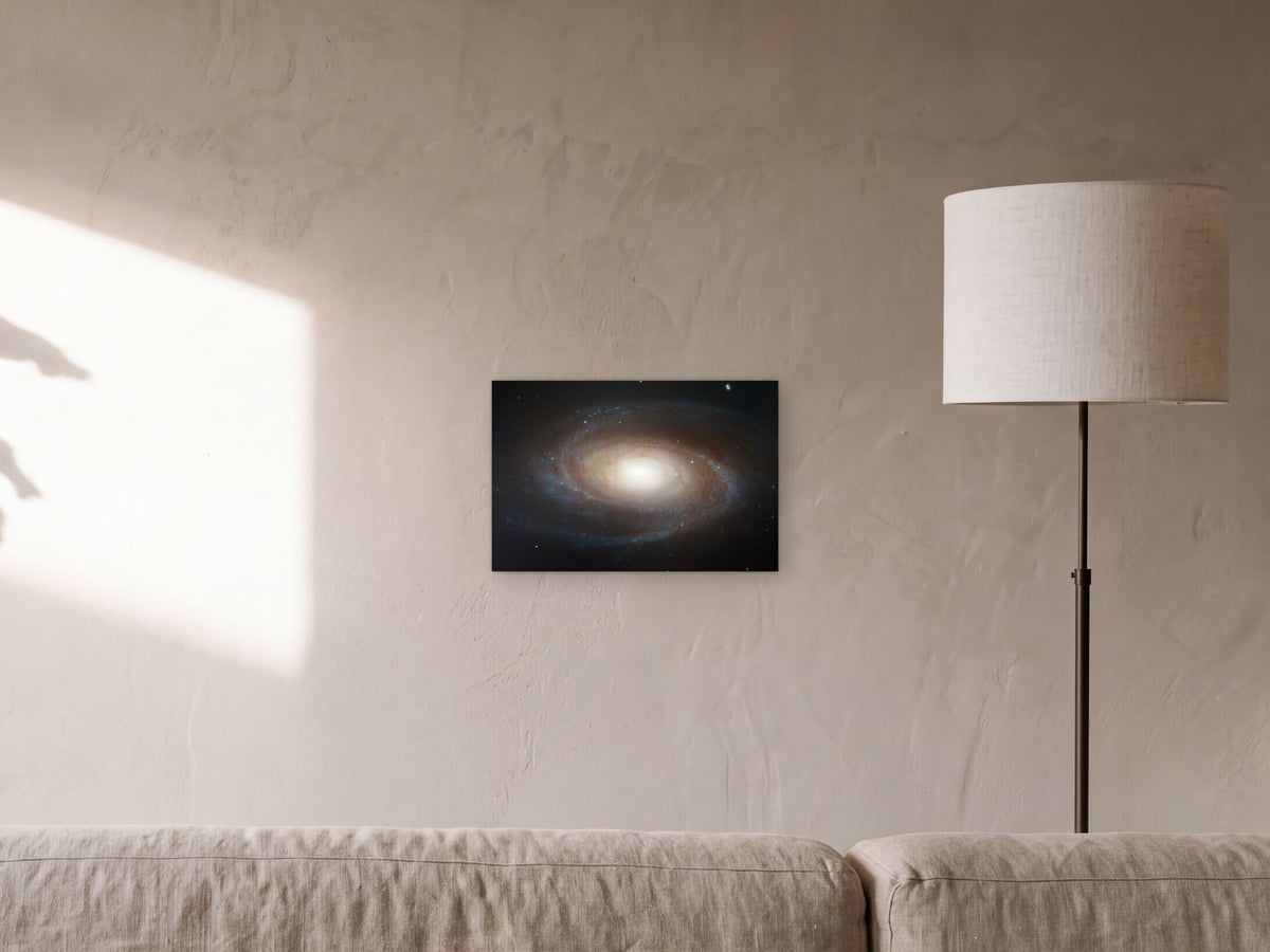 spiral galaxy M81 shown in a sunlit limewash living room with a leaf shadow on the wall - scale render at 45 × 30 cm