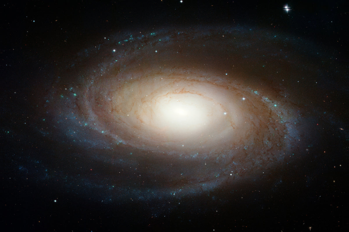 spiral galaxy M81