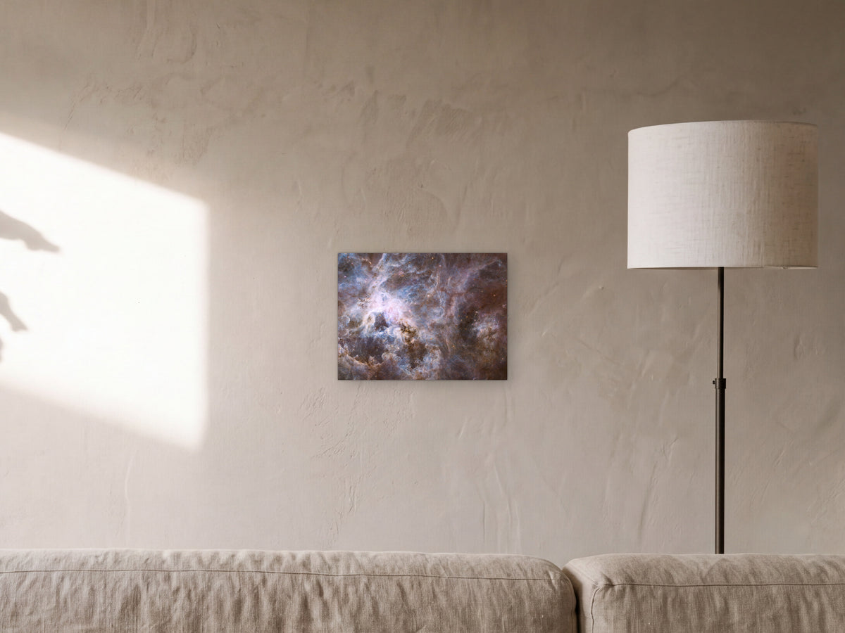 Tarantula Nebula shown in a sunlit limewash living room with a leaf shadow on the wall - scale render at 40 × 30 cm