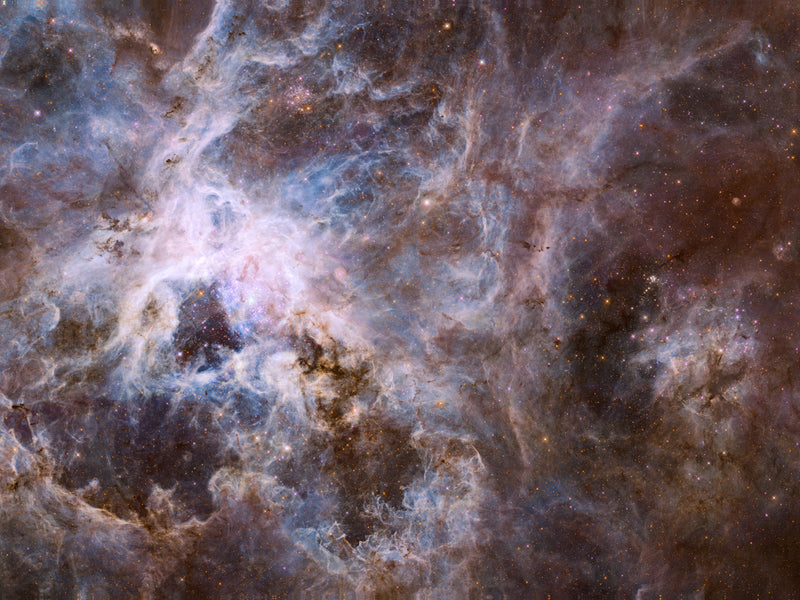 Tarantula Nebula